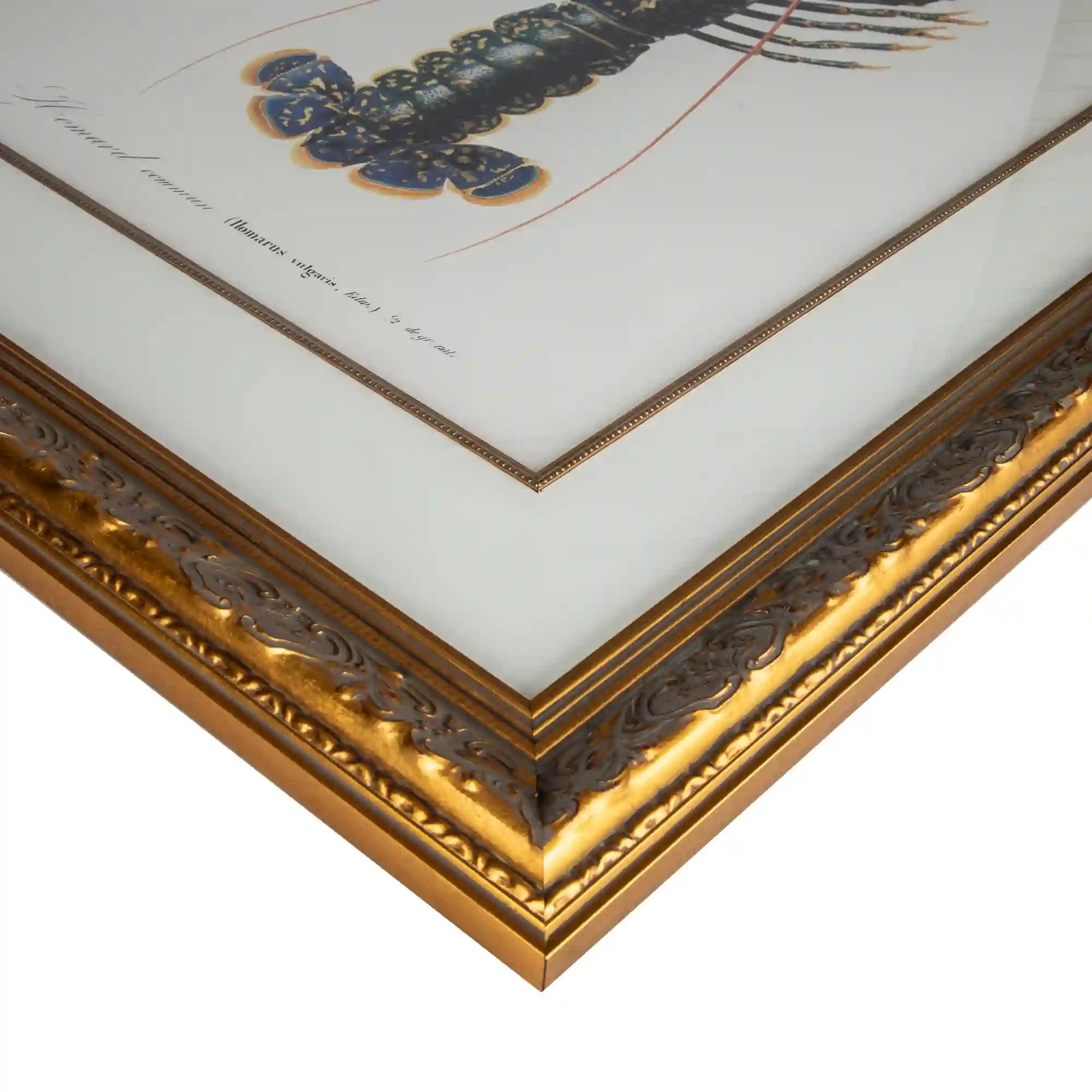 Close-up of a handcrafted antique gold timber picture frame corner with an ornate hand-finished profile, museum-quality mount and conservation glazing, showcasing bespoke custom picture framing.